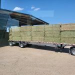 alfalfa hay on a truck