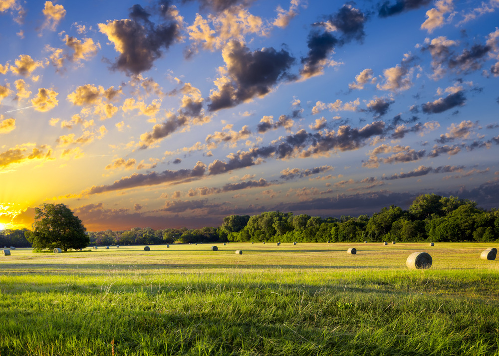 sunrise with hay bales strewn across the landscape