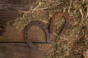 background two equine horseshoes on wood with alfalfa leaves.