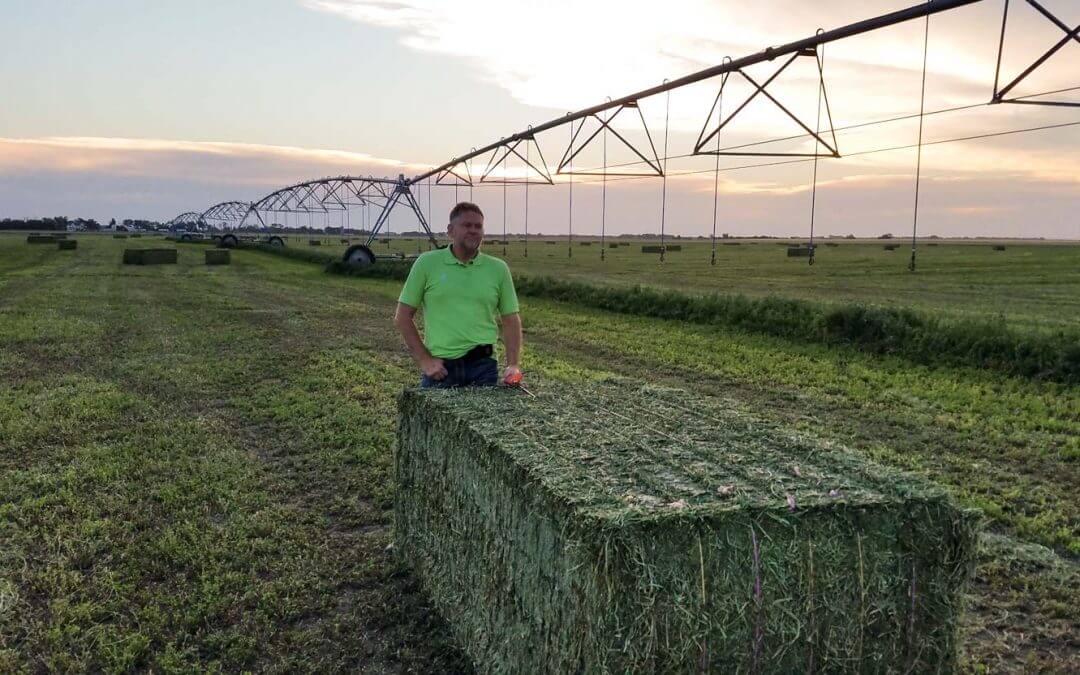 Alfalfa Hay Grower